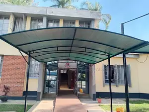 Large-Span Cantilevered Canopy Structure