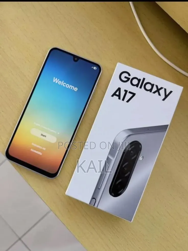 Samsung Galaxy A17 128 GB Gray