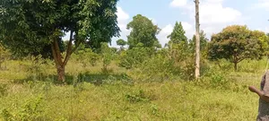 16 Acres for Sale – Just 600 Metres Off the Highway, Kiyunga Kamuli