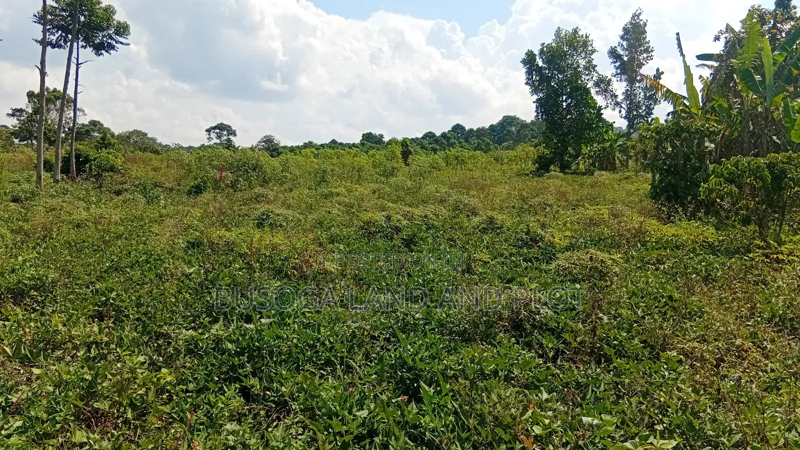300 Acres Freehold Titled Land With a Farm House, at 6.5m Each Acre