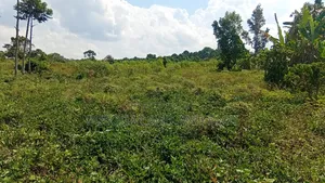 300 Acres Freehold Titled Land With a Farm House, at 6.5m Each Acre
