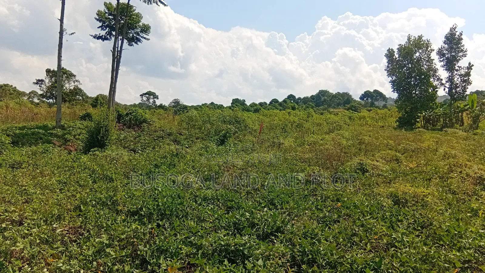 300 Acres Freehold Titled Land With a Farm House, at 6.5m Each Acre