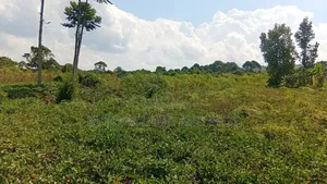 300 Acres Freehold Titled Land With a Farm House, at 6.5m Each Acre