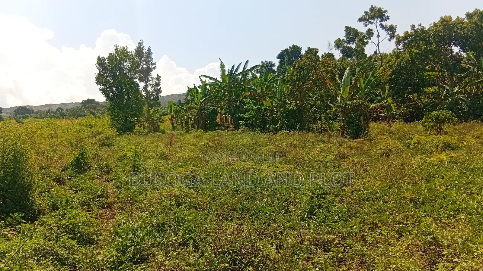 300 Acres Freehold Titled Land With a Farm House, at 6.5m Each Acre