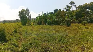 300 Acres Freehold Titled Land With a Farm House, at 6.5m Each Acre