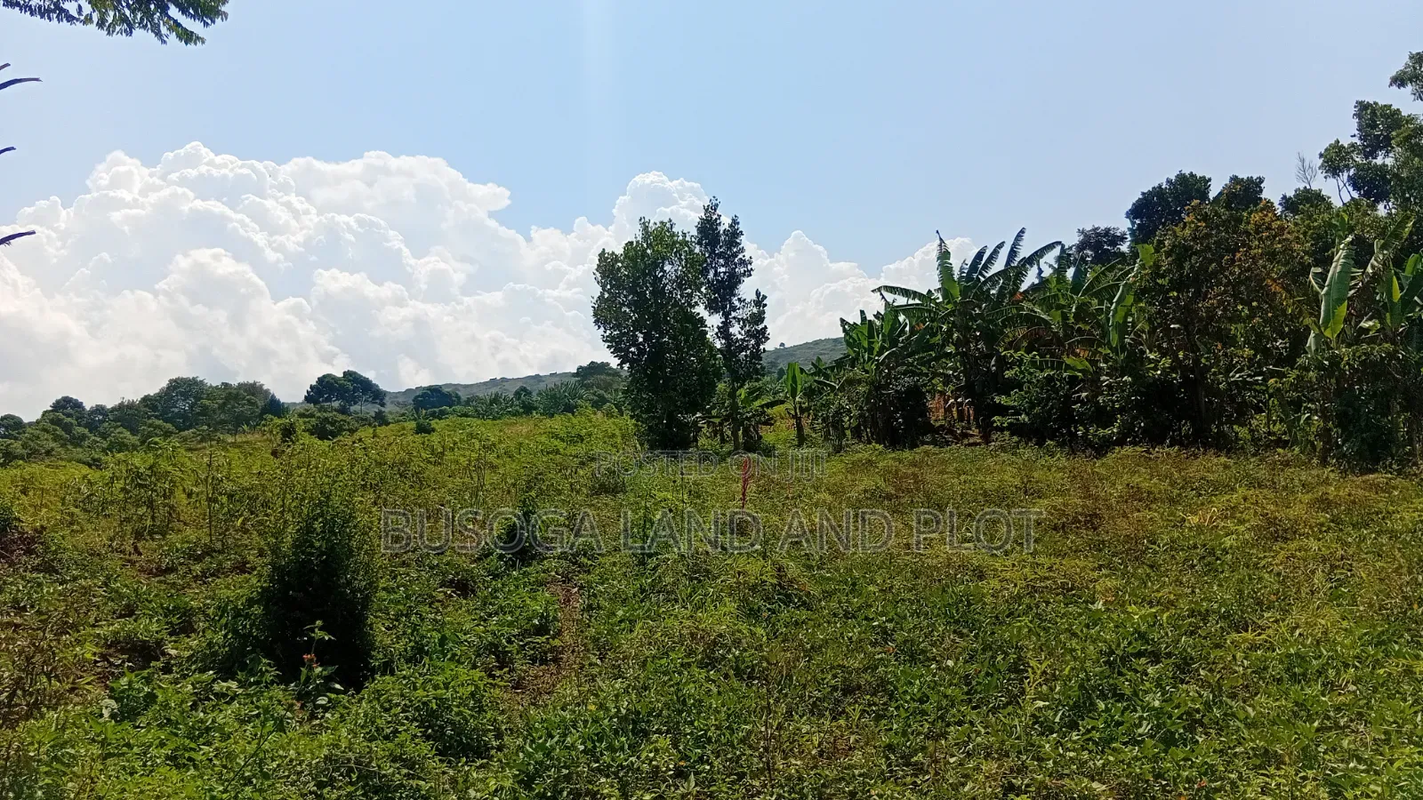 300 Acres Freehold Titled Land With a Farm House, at 6.5m Each Acre