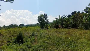 300 Acres Freehold Titled Land With a Farm House, at 6.5m Each Acre