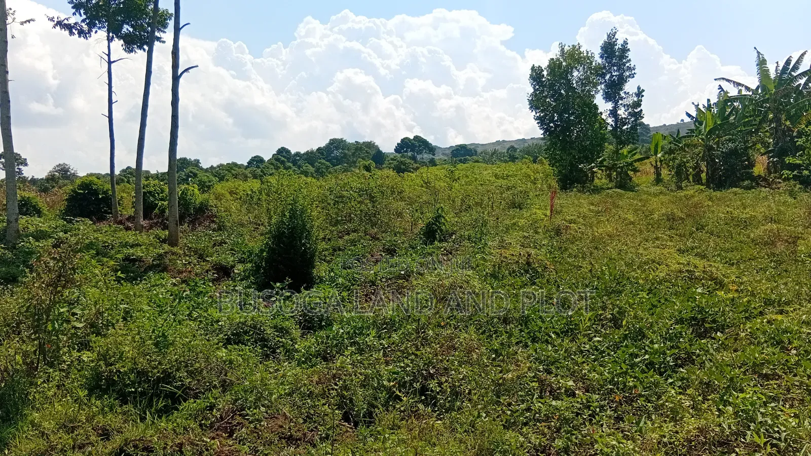 300 Acres Freehold Titled Land With a Farm House, at 6.5m Each Acre