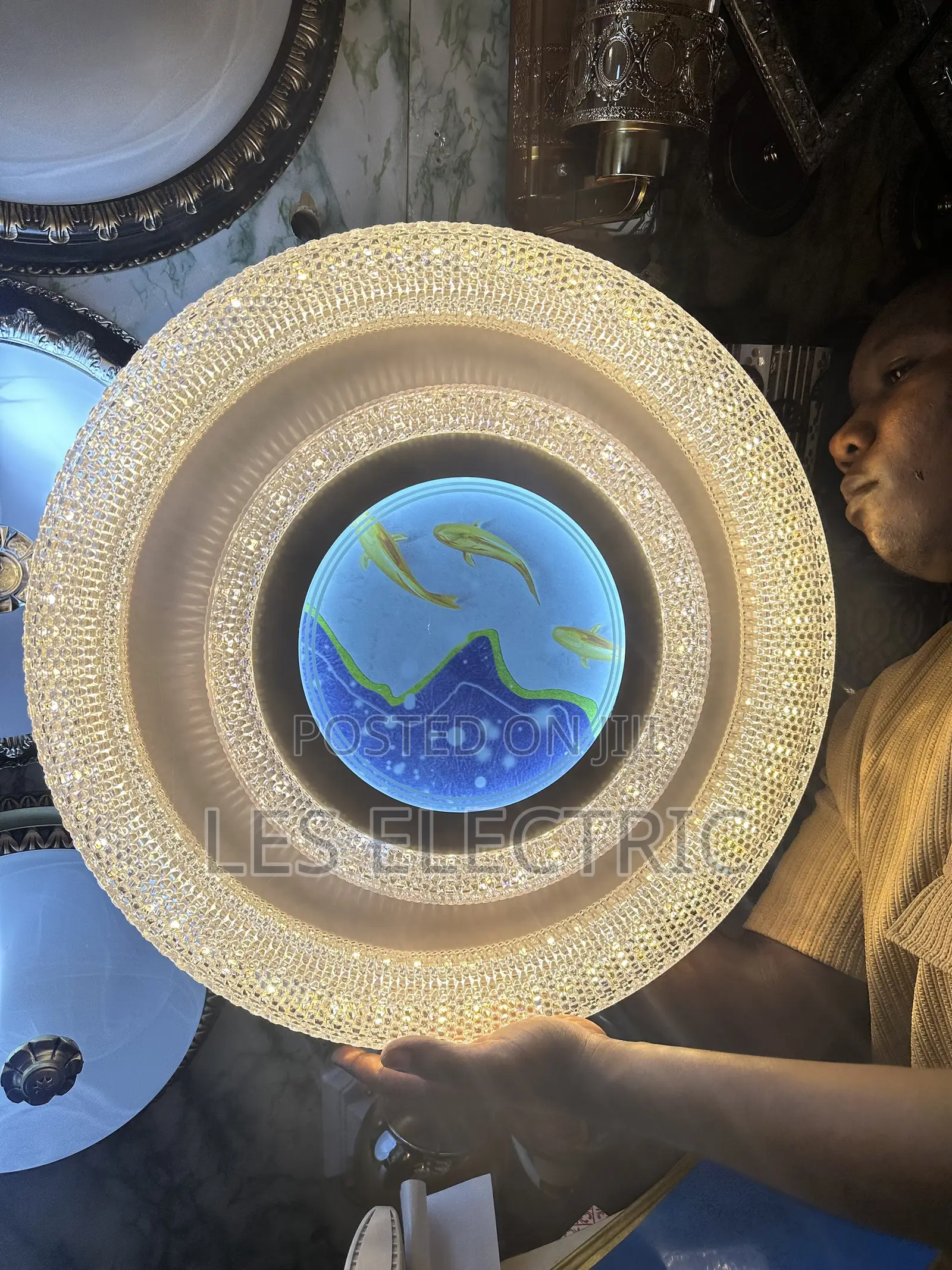Ceiling Light Fish
