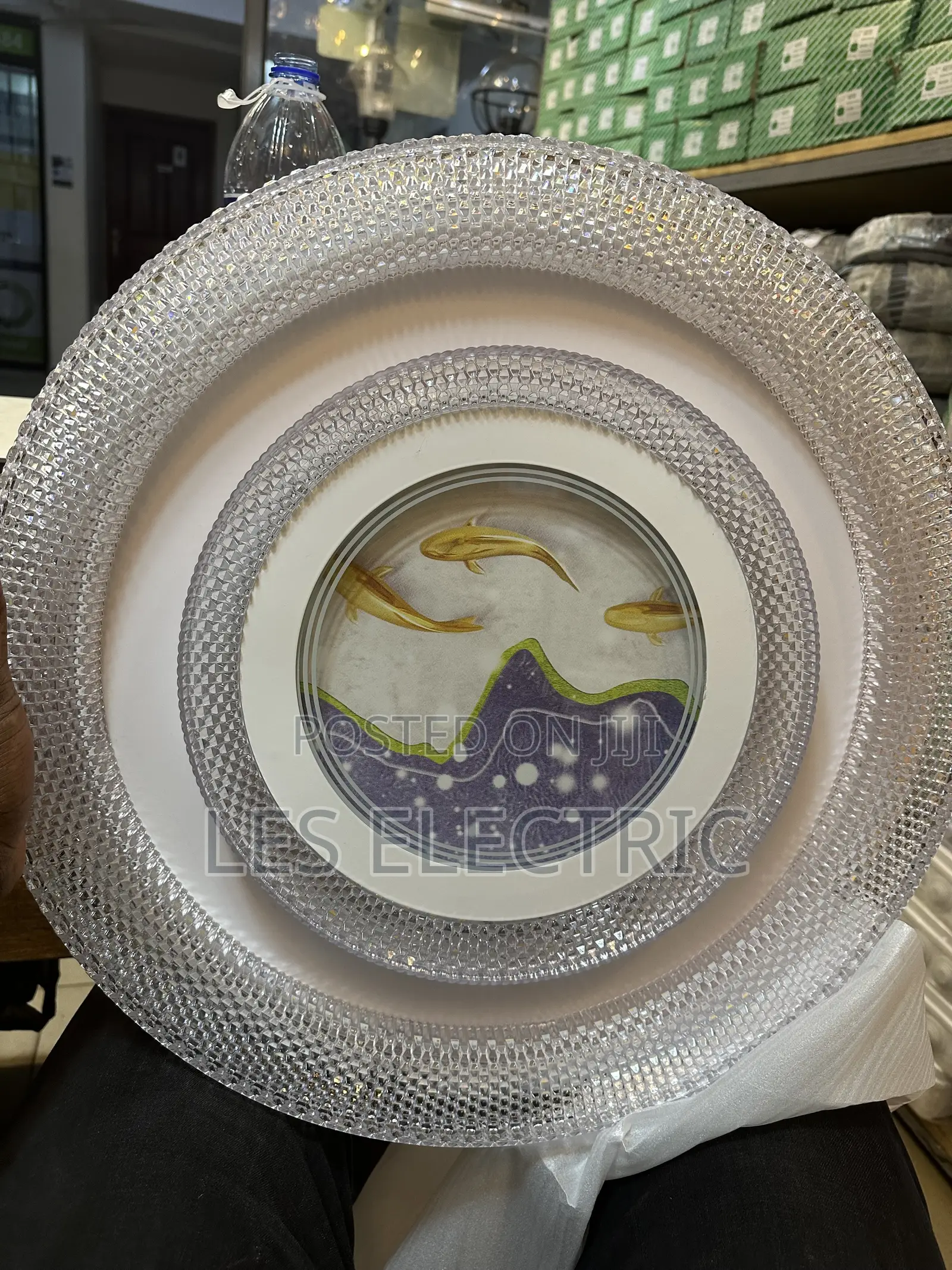 Ceiling Light Fish
