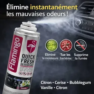 Car a/CQuick Fresh Deodorizer Remove Antibacterial Smoky Foul Smelling