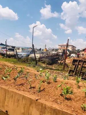 Main Land for Sale