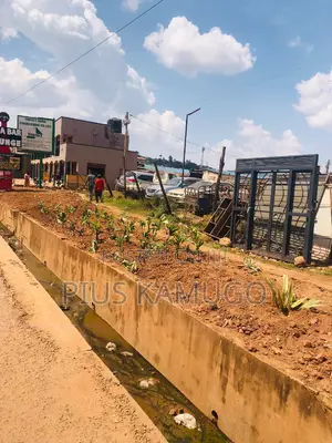 Main Land for Sale