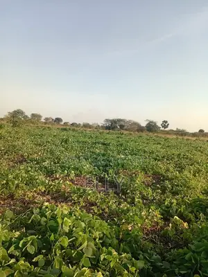 Land for Urban Farming