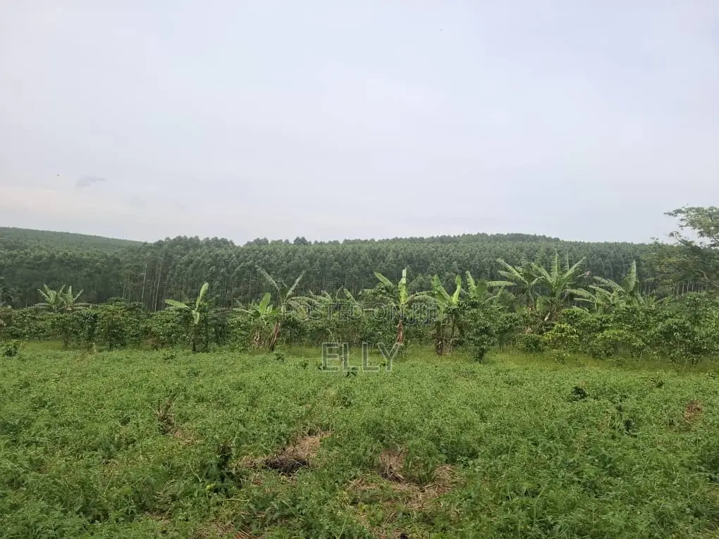 Land for Urban Farming