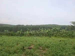 Land for Urban Farming