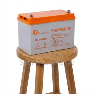 Felicity 100Ah 12V Solar Gel Battery – Deep Cycle Power