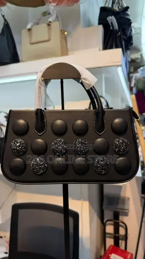 Ladies Hand Bag