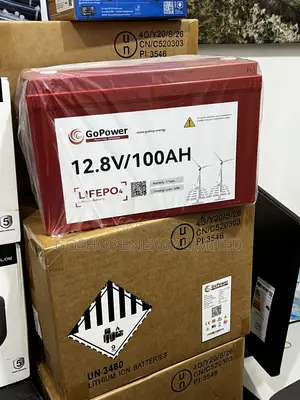 12.8v 100ah Gopower Lithium Batteries