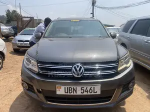 Volkswagen Tiguan 2010 Gray