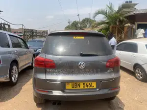 Volkswagen Tiguan 2010 Gray