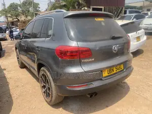 Volkswagen Tiguan 2010 Gray