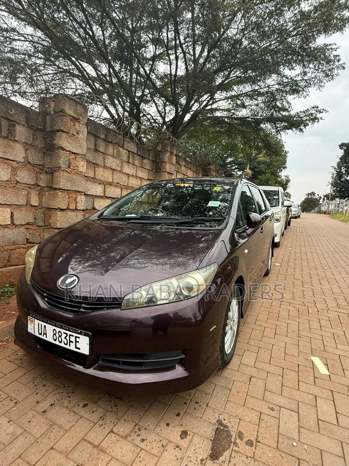 Toyota Wish 2011 Brown