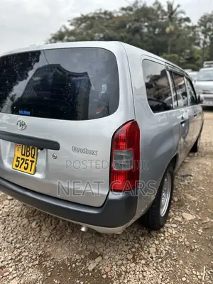Toyota Probox 2009 Silver