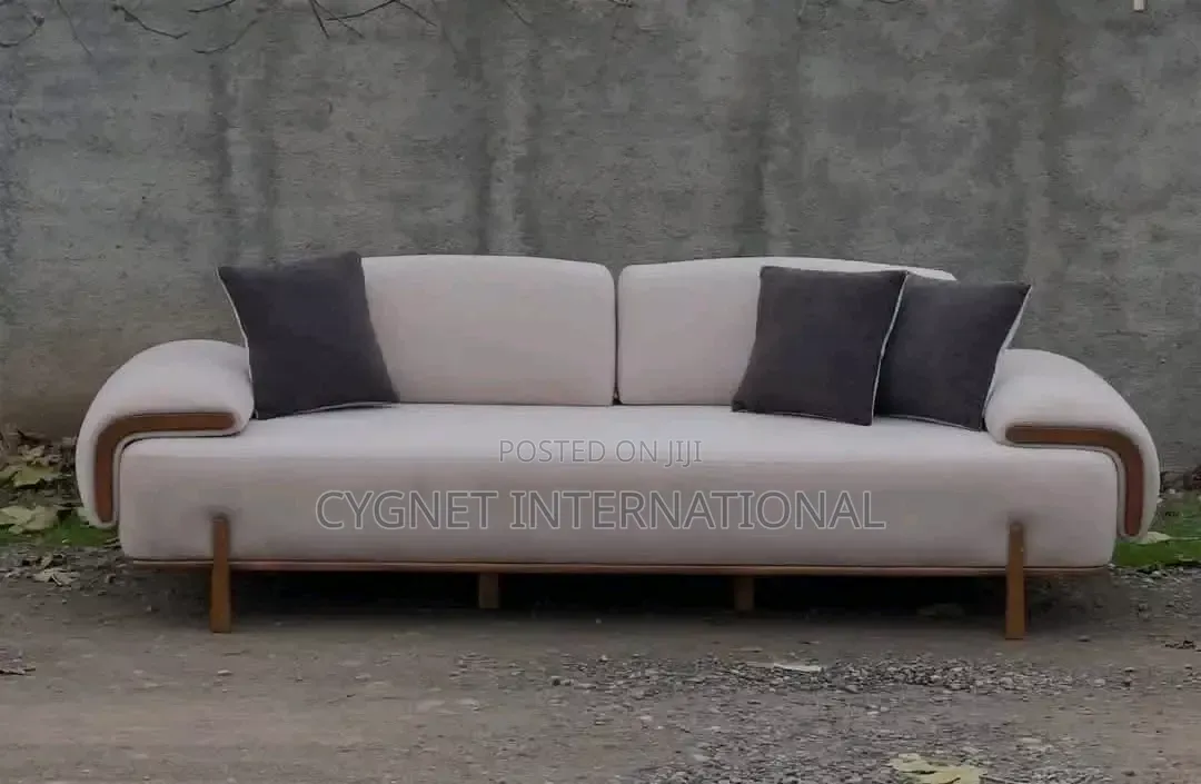 Modern Luxury Sofa Set
