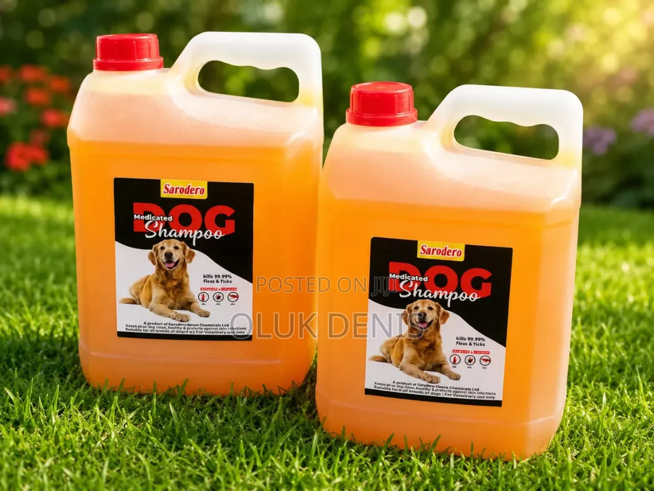 Medicated Dog Shampoo