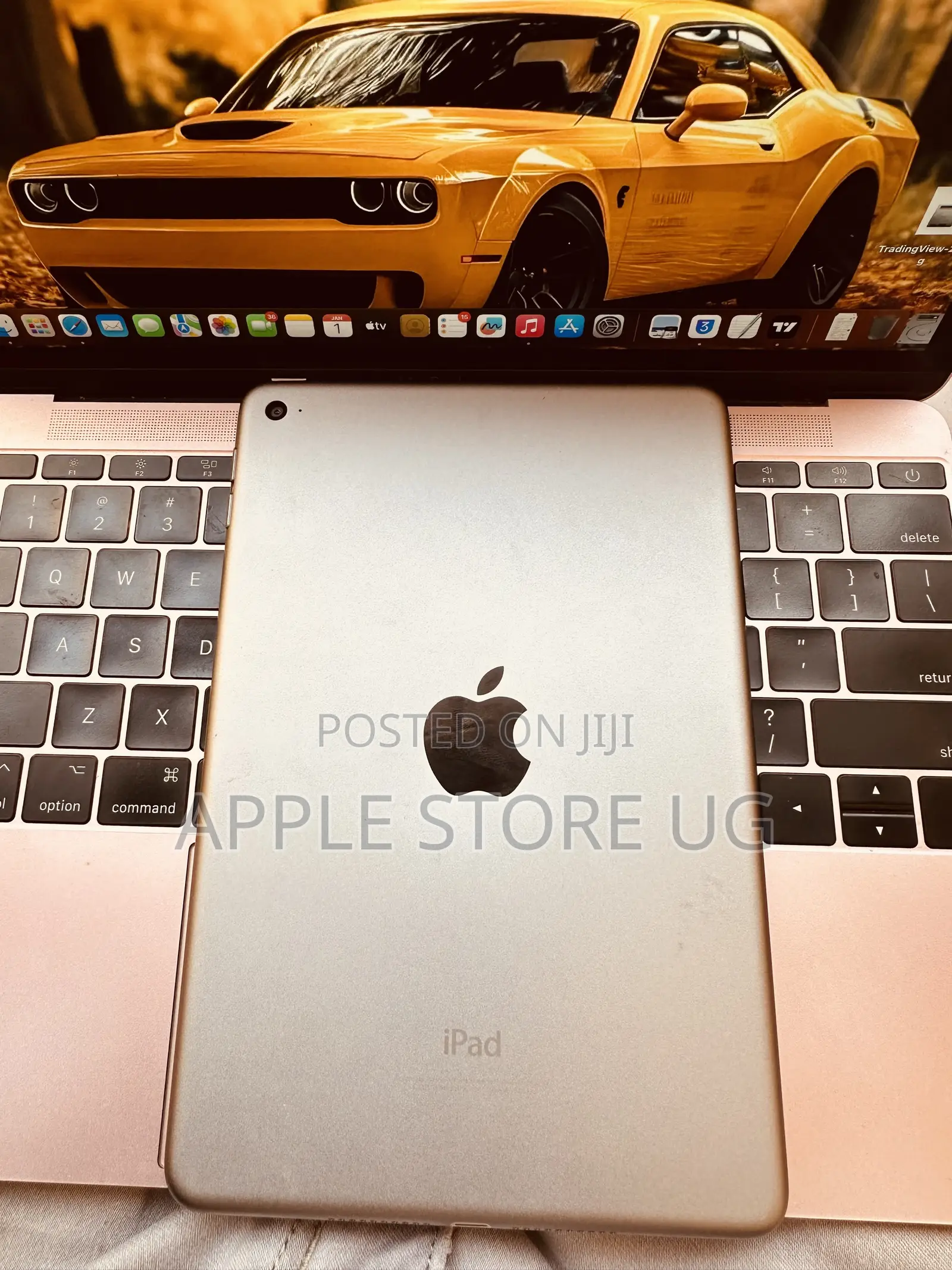 Apple iPad mini 4 128 GB Gray