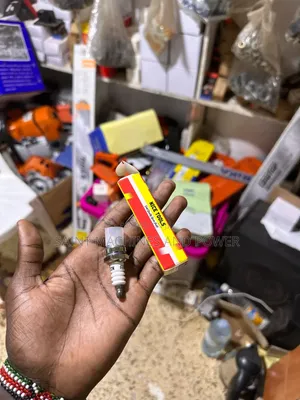Original Plug