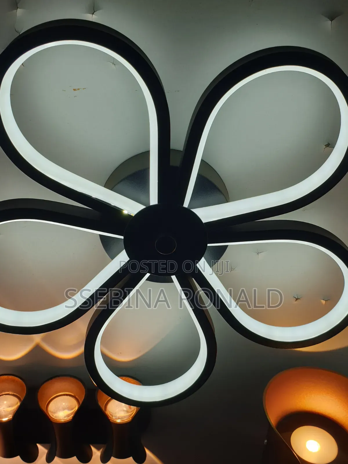 Led Lights