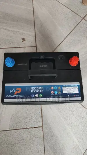 65Ah Panapower NS70MF 12V Maintenance Free Car Battery