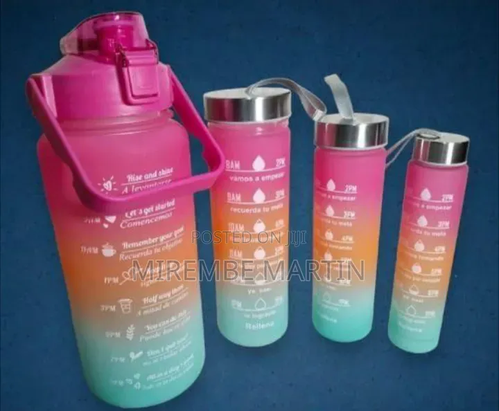 Set of 4 Water Bottles