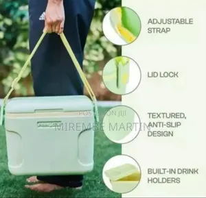 Stylish Portable Cooler With Adjustable Shoulder Strap (8L)