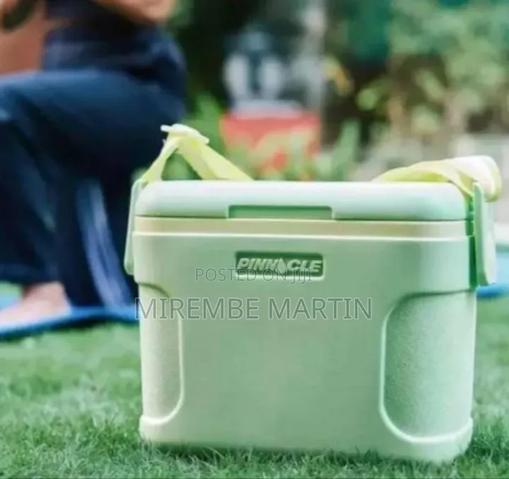 Stylish Portable Cooler With Adjustable Shoulder Strap (8L)
