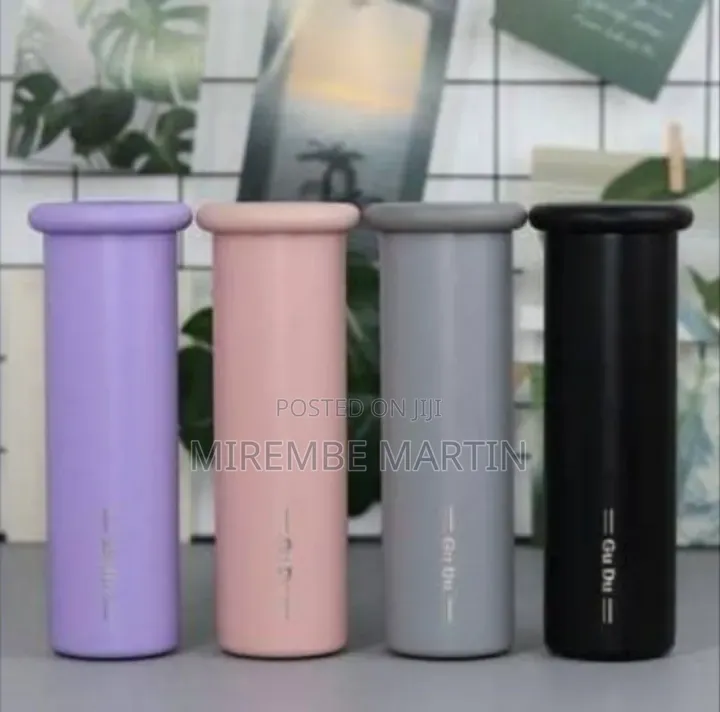 Stainless Steel 350ml Mushroom Double Wall Vacuum Flask