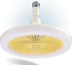 2-in-1 Ceiling Fan - Multicolor