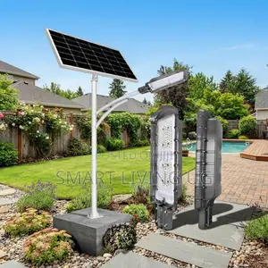 Blue Carbon 3.0 King Light Solar Street Lamp for Roads Compounds