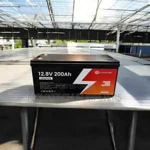 Premium SUNARK 12.8V 200Ah LiFePO4 Solar Battery | 2.56kWh Capacity