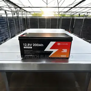 SUNARK 12.8V 200Ah LiFePO4 Lithium Battery | 2.56kWh
