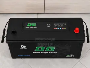 120Ah DG African Dragon N120 Maintenance Free Car Battery 12V