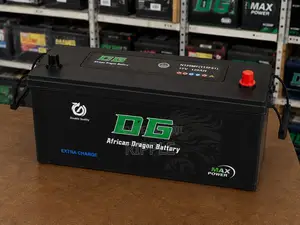 120Ah DG African Dragon N120 Maintenance Free Car Battery 12V