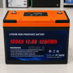 100Ah LiFePO4 Lithium Battery 1.28kWh Solar Backup 12V