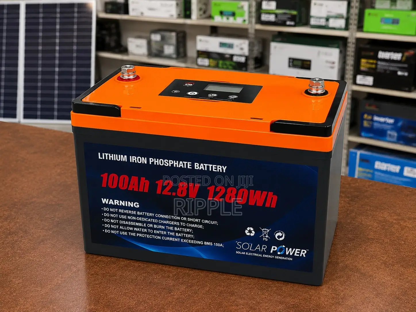 100Ah LiFePO4 Lithium Battery 1.28kWh Solar Backup 12V