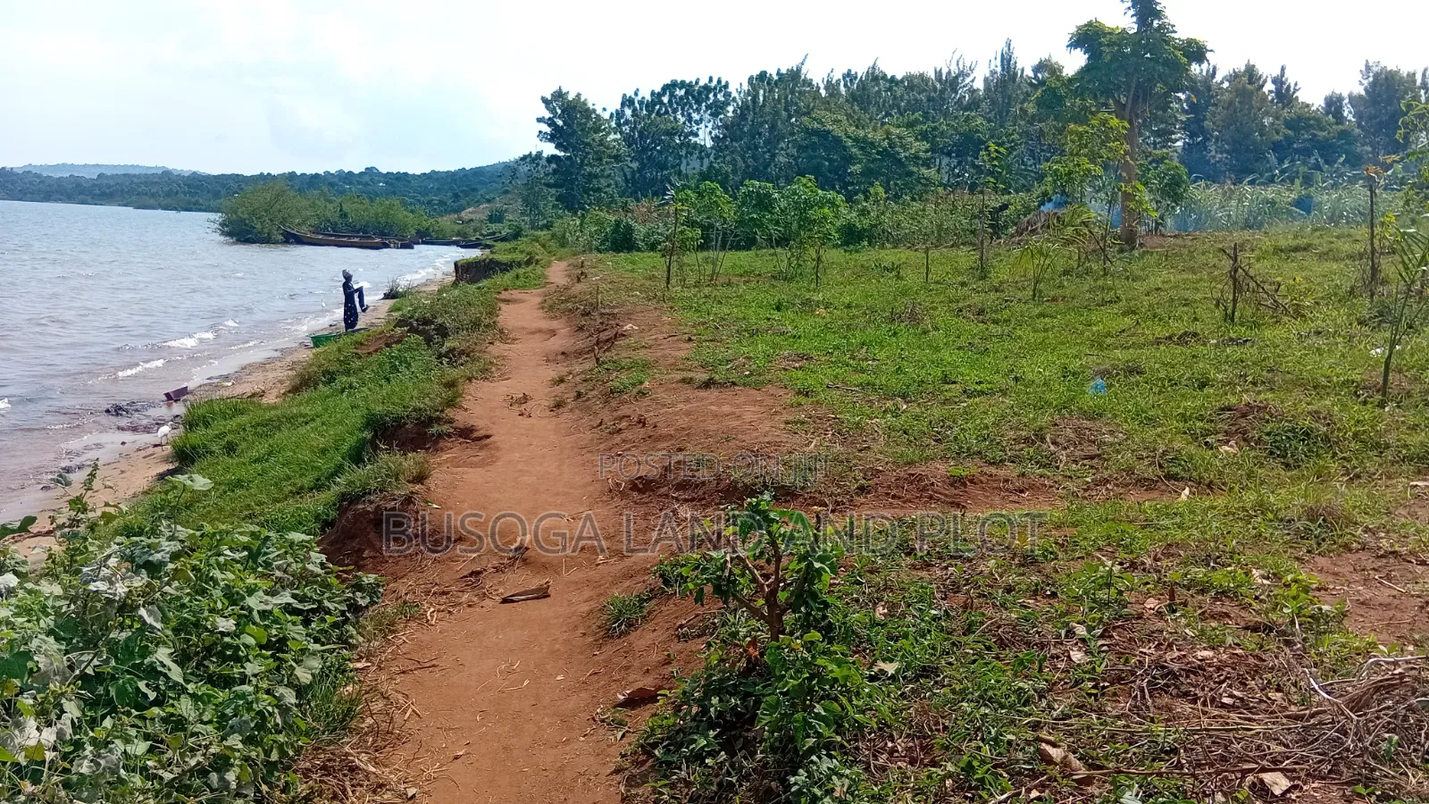 4 Acres of Beautiful Lake Victoria Waterfront Land at 160m for the All