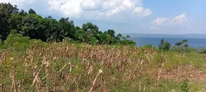 4 Acres of Beautiful Lake Victoria Waterfront Land at 160m for the All