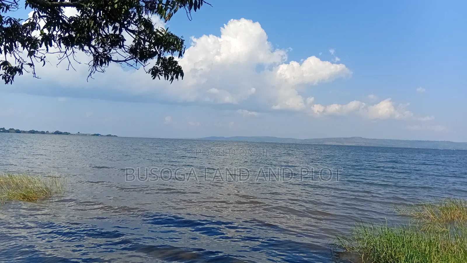4 Acres of Beautiful Lake Victoria Waterfront Land at 160m for the All