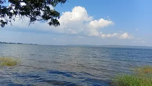 4 Acres of Beautiful Lake Victoria Waterfront Land at 160m for the All